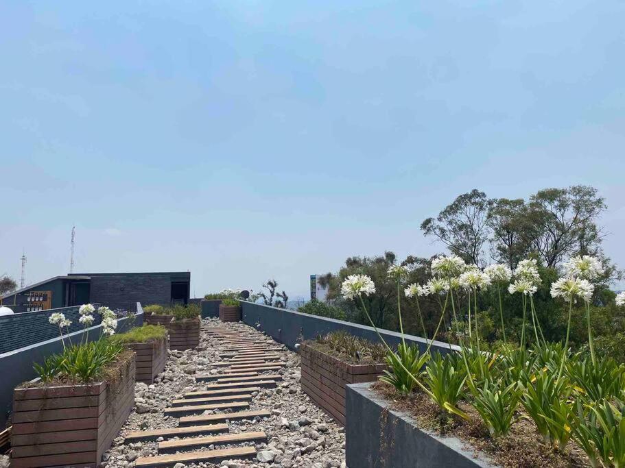 Gran Ubicacion, En La Zona De Santa Fe, King Bed Villa Mexico City Exterior photo